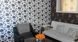 شقة سكنية 65 متر مربع - نيكو بيروسماني, Batumi, جورجيا