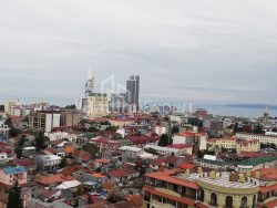 شقة سكنية 4-комн 120 m² - ايليا تشافتشافادزه, Batumi