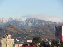 شقة سكنية 1-комн 33 m² - نيكو بيروسماني, Batumi