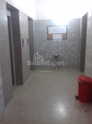 شقة سكنية 33 متر مربع - نيكو بيروسماني, Batumi, جورجيا