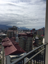 شقة سكنية 2-комн 49.3 m² - شالفا إيناساريدزه, Batumi