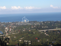 منزل شخصي 6-комн 5000 m² - ميزجورتا, Chakvi