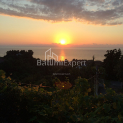 منزل شخصي 6-комн 4000 m² - ديفيد أغماشينيبيلي, Kobuleti