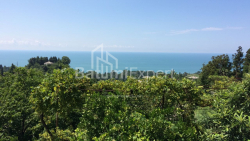 منزل شخصي 4000 متر مربع - ديفيد أغماشينيبيلي, Kobuleti, جورجيا
