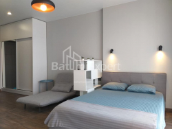 شقة سكنية 1-комн 33 m² - شالفا إيناساريدزه, Batumi