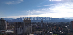 شقة سكنية 1-комн 31.3 m² - شالفا إيناساريدزه, Batumi