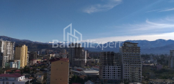 شقة سكنية 1-комн 31.3 m² - شالفا إيناساريدزه, Batumi