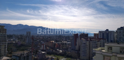 شقة سكنية 1-комн 31.3 m² - شالفا إيناساريدزه, Batumi