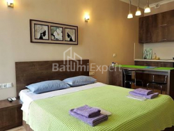 شقة سكنية 1-комн 29 m² - زورابا جورجيلادزه, Batumi