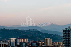 شقة سكنية 33.1 متر مربع - شالفا إيناساريدزه, Batumi, جورجيا
