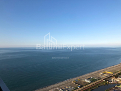 شقة سكنية 44 متر مربع - شريف خيمشياشفيلي, Batumi, جورجيا