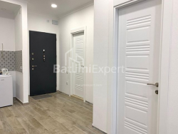 شقة سكنية 48 متر مربع - زورابا جورجيلادزه, Batumi, جورجيا