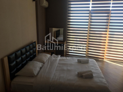 شقة سكنية 1-комн 32.8 m² - يوسف كوبالادزه, Batumi