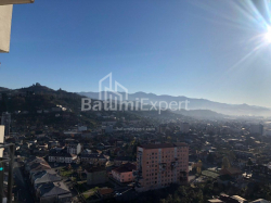 شقة سكنية 40 متر مربع - الكسندرا بوشكين, Batumi, جورجيا