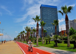 شقة سكنية 50 متر مربع - شريف خيمشياشفيلي, Batumi, جورجيا