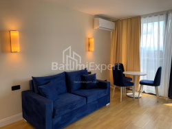 شقة سكنية 43 متر مربع - شريف خيمشياشفيلي, Batumi, جورجيا