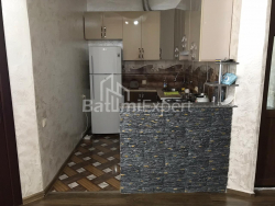 شقة سكنية 47 متر مربع - نيكو بيروسماني, Batumi, جورجيا
