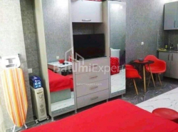 شقة سكنية 1-комн 32 m² - نيكو بيروسماني, Batumi