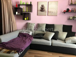شقة سكنية 2-комн 48 m² - نيكو بيروسماني, Batumi