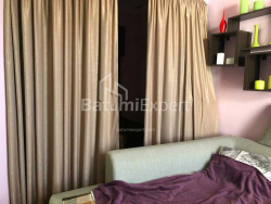 شقة سكنية 48 متر مربع - نيكو بيروسماني, Batumi, جورجيا