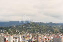 شقة سكنية 52.5 متر مربع - Ekvtime تاكايشفيلي, Batumi, جورجيا