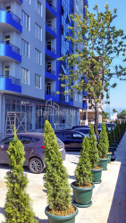 شقة سكنية 30 متر مربع - شريف خيمشياشفيلي, Batumi, جورجيا