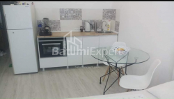شقة سكنية 28 متر مربع - زقاق الأبطال, Batumi, جورجيا