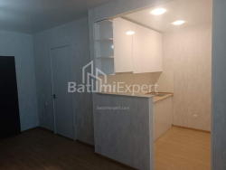 شقة سكنية 46 متر مربع - نيكو بيروسماني, Batumi, جورجيا
