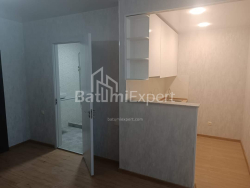 شقة سكنية 46 متر مربع - نيكو بيروسماني, Batumi, جورجيا