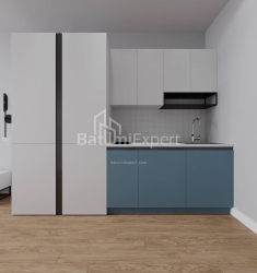شقة سكنية 1-комн 30.3 m² - شالفا إيناساريدزه, Batumi