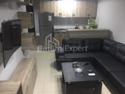 شقة سكنية 2-комн 45 m² - الكسندرا بوشكين, Batumi