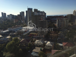 شقة سكنية 52 متر مربع - ديفيد أغماشينبلي, Batumi, جورجيا