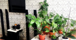 شقة سكنية 64 متر مربع - سليمة خيمشياشفيلي, Batumi, جورجيا