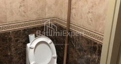 شقة سكنية 113 متر مربع - زفيادا جامساخورديا, باتومي, جورجيا