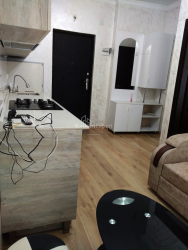 شقة سكنية 2-комн 29 m² - شالفا إيناساريدزه, Batumi