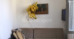 شقة سكنية 52 متر مربع - ديفيد أغماشينيبيلي, Batumi, جورجيا