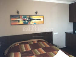 شقة سكنية 25 متر مربع - يوسف كوبالادزه, Batumi, جورجيا